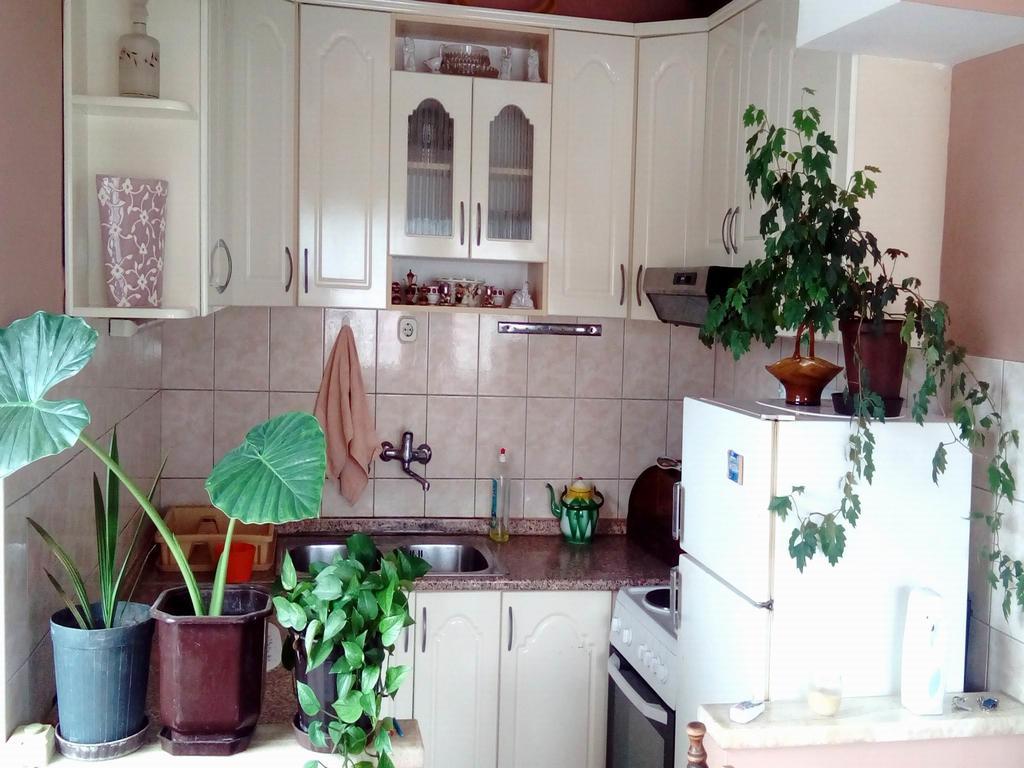 Apartment Luka Ohrid Szoba fotó